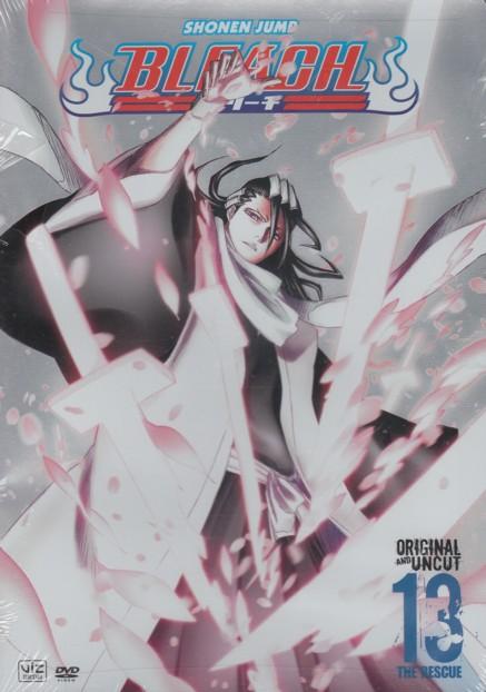 Bleach Vol. 13: Episode