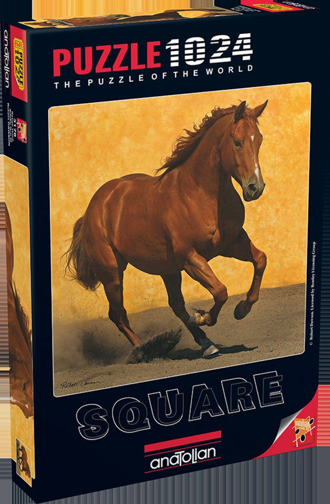 Anatolian Puzzle 1024 Piece - Adobe Run III