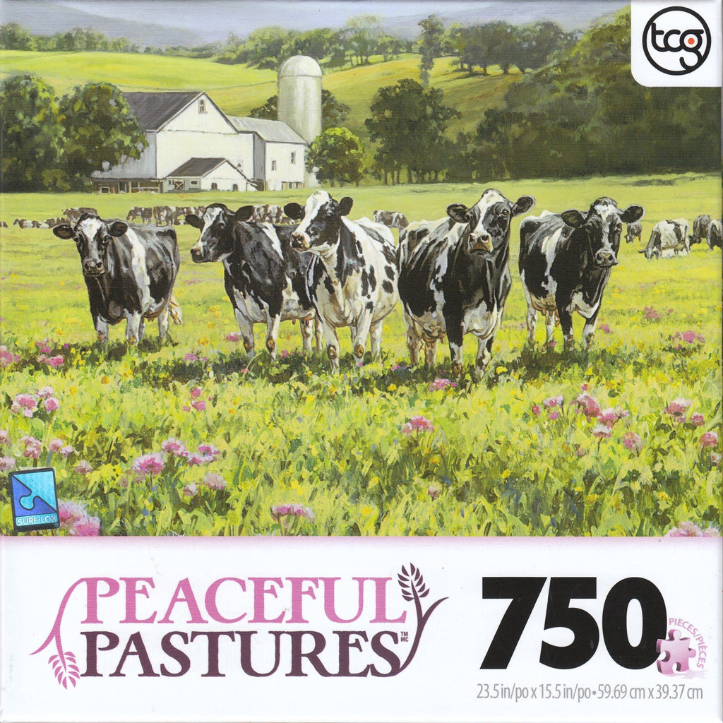 Sweet Summer 750 Piece Puzzle