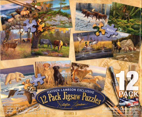 Hayden Lambson Exclusive 12 Pack Puzzles - Series 2
