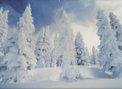 Snowscape 500 Piece Puzzle