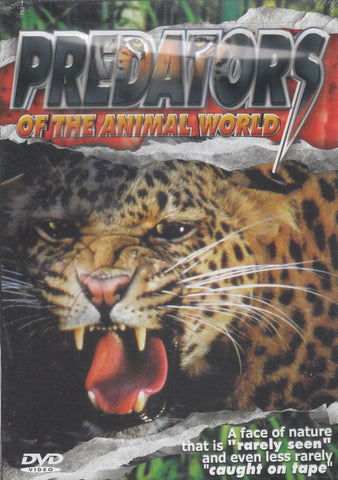 Predators Of The Animal World
