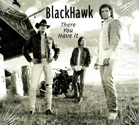 There You Have It by Blackhawk