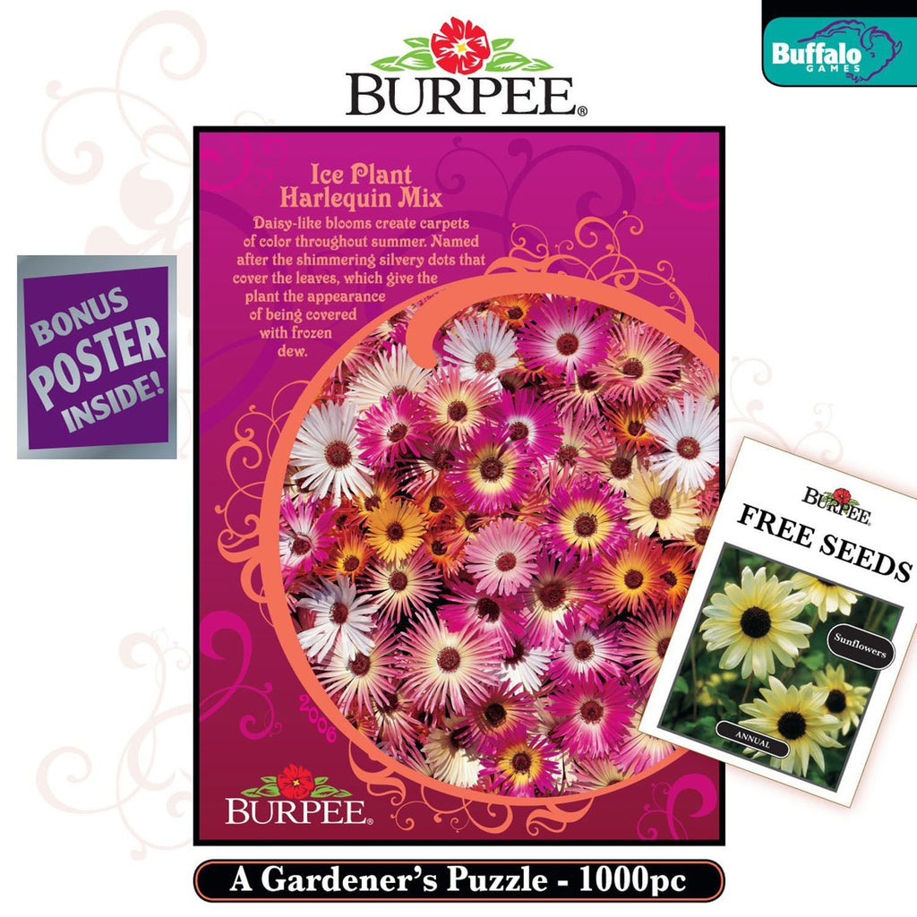 Burpee: Ice Plant Harlequin Mix 1000 Piece Puzzle