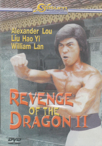 Revenge Of The Dragon II