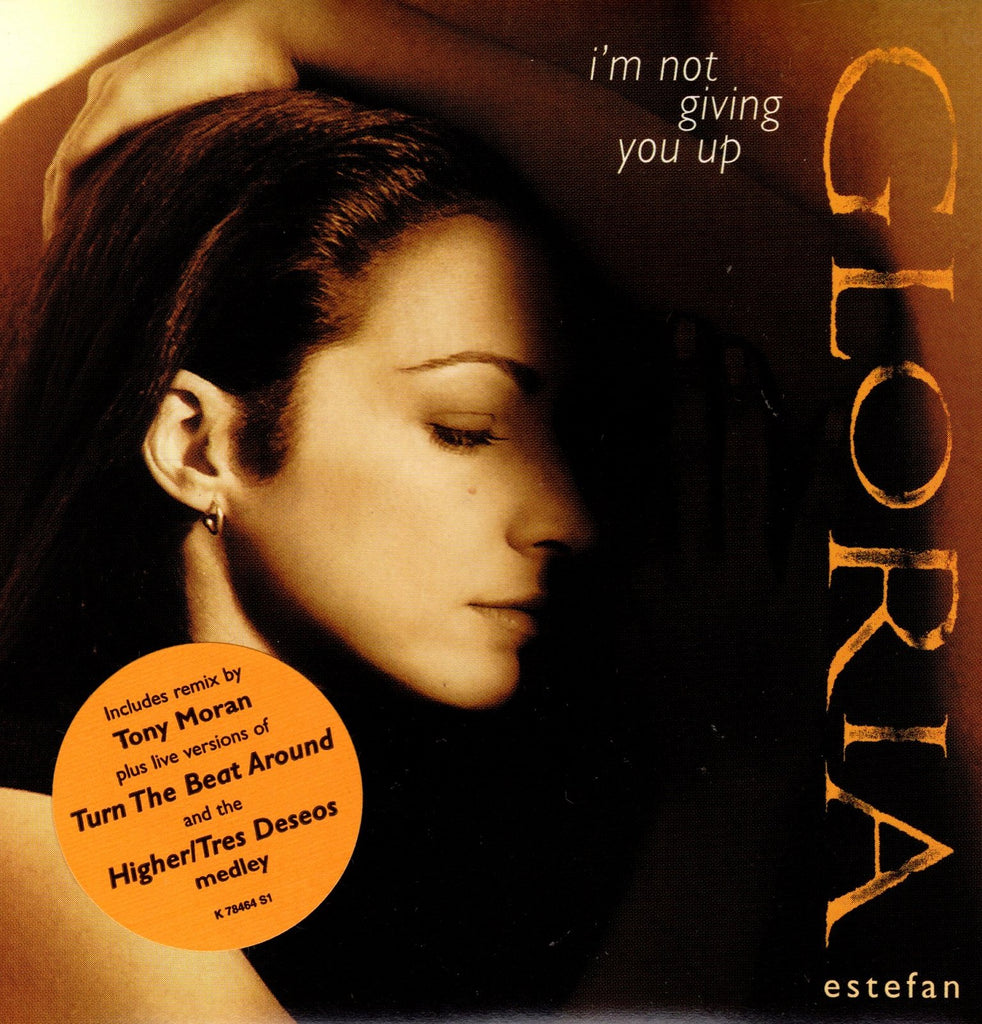 I'm Not Giving You Up by Gloria Estefan