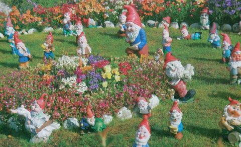 Colorluxe 1000 Piece Puzzle - Garden Gnomes, Falkland Islands, South America