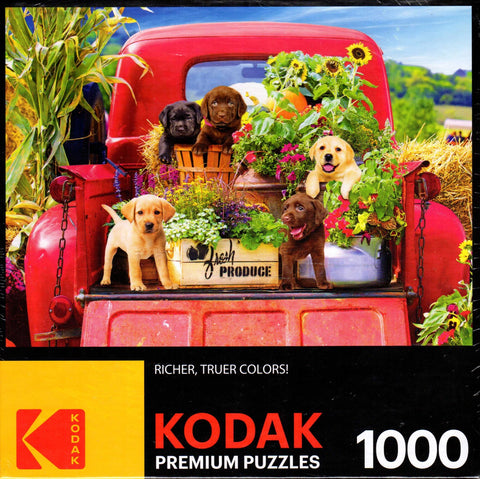 Kodak - Stowaways 1000 Piece Puzzle