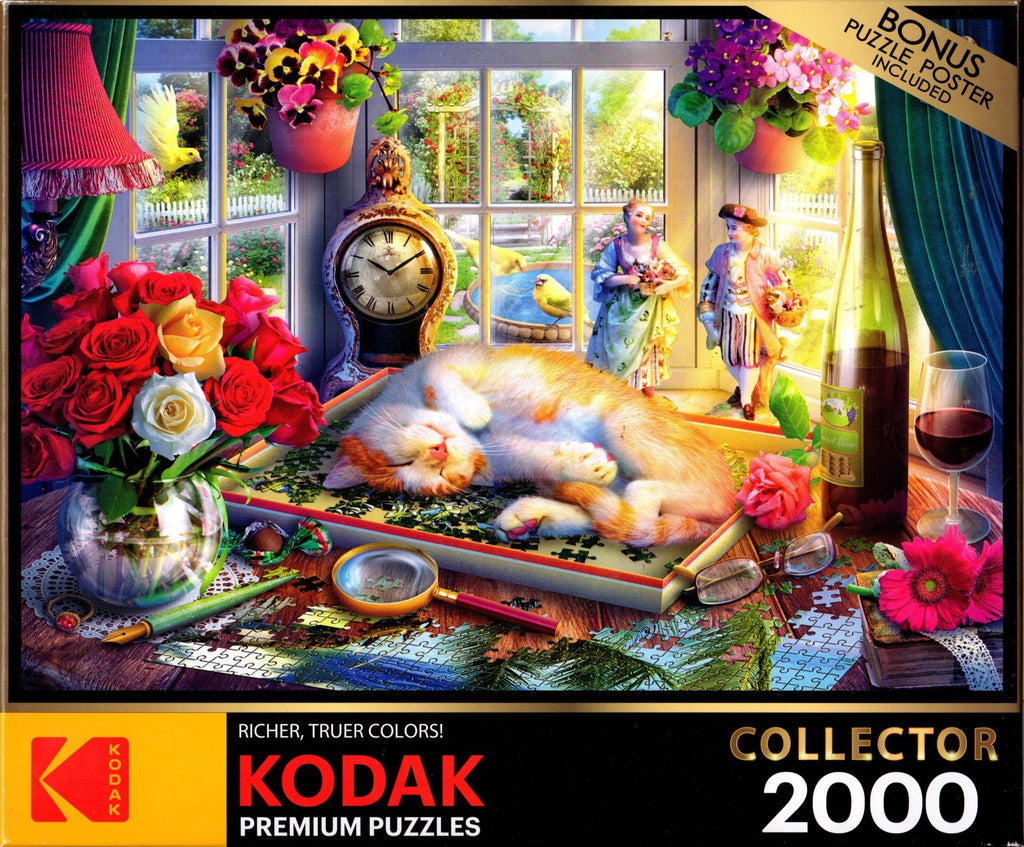 Kodak - Puzzle Tim