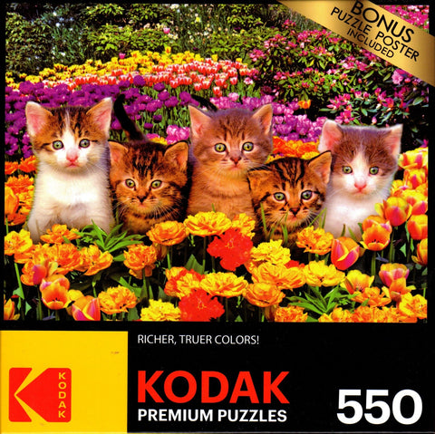 Kodak - Cute Kittens on The Grass 550 Piece Puzzle