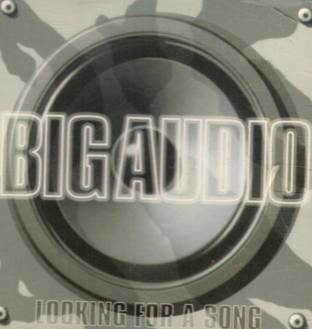 Looking For A Song by Big Audio