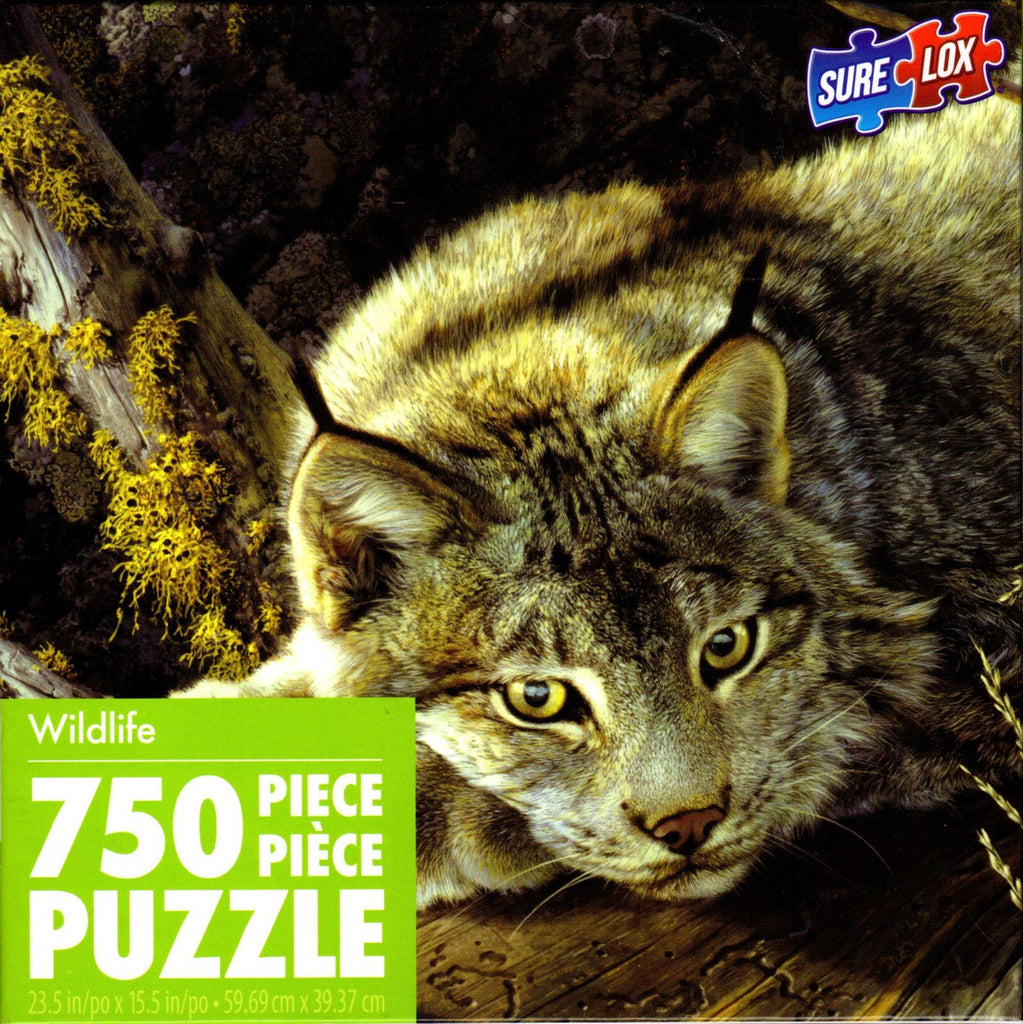 Take Five 750 Piece Puzzle