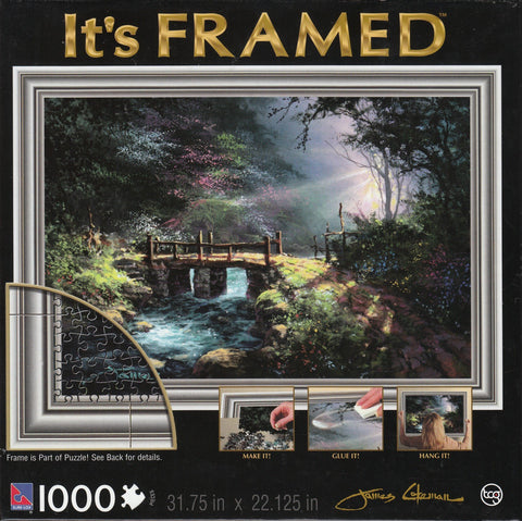 Hidden Dream 1000 Piece It's Framed Puzzle