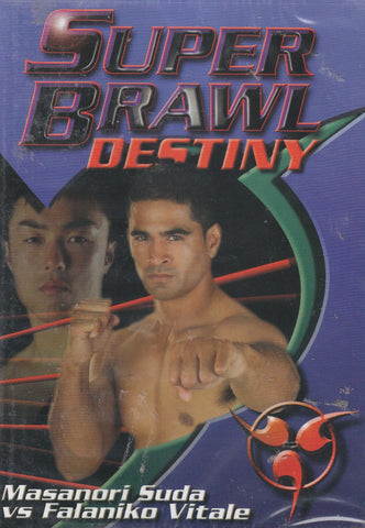 Super Brawl Destiny