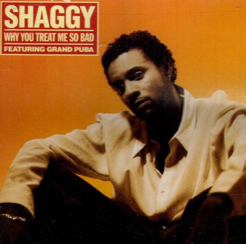 Why You Treat Me So Bad by Shaggy