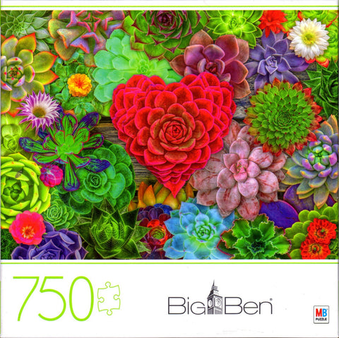 Big Ben 750 Piece Puzzle - Succulent Love