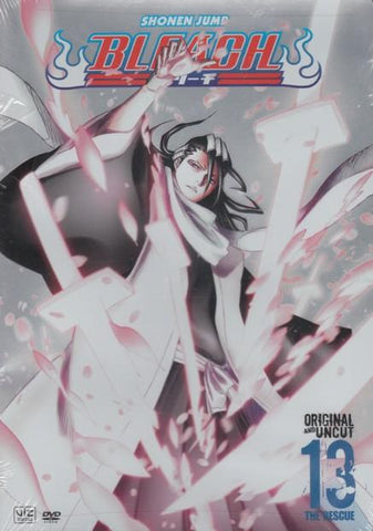 Bleach Vol. 13: Episode