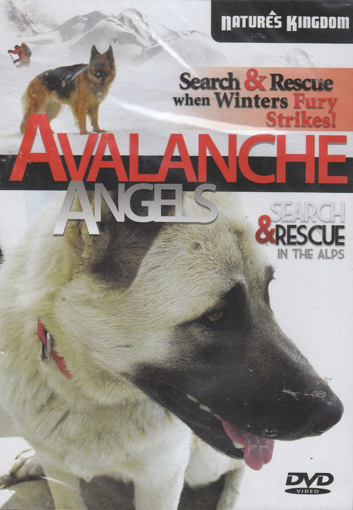 Avalanche Angels