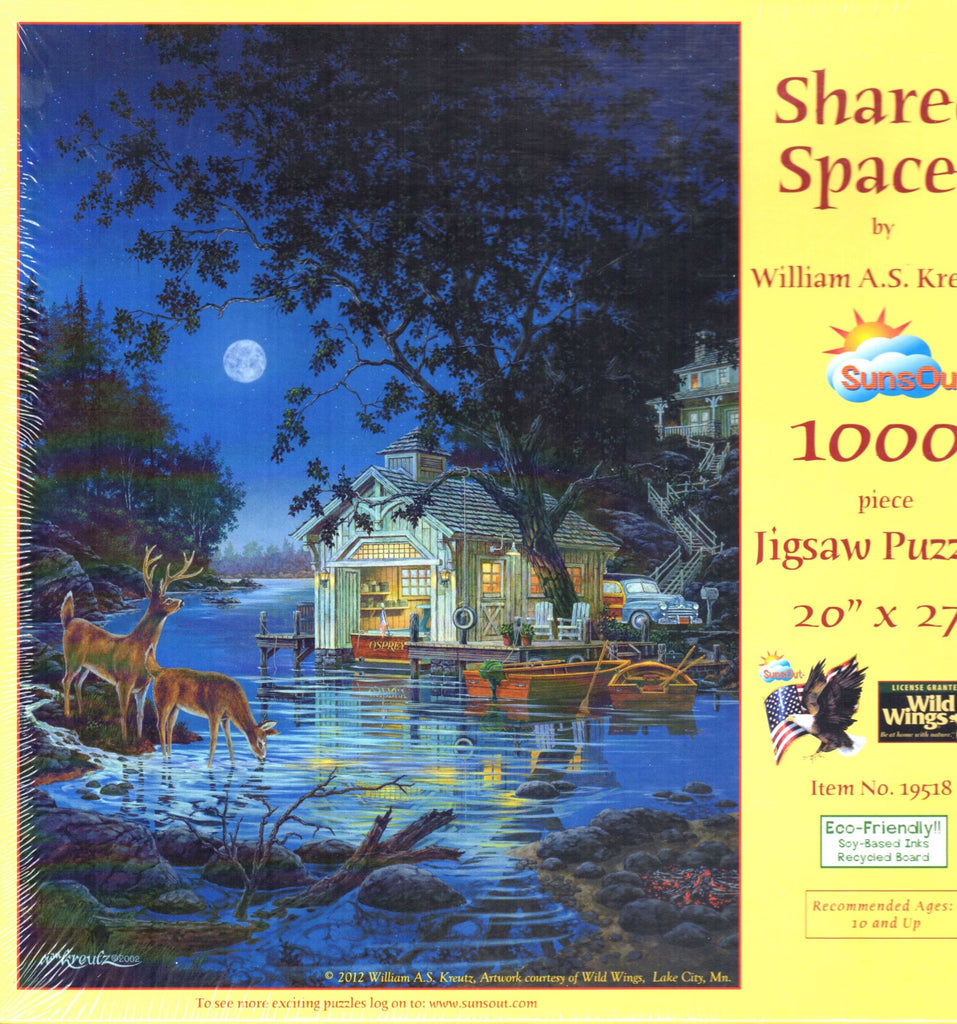 Shared Spaces 1000 Piece Puzzle