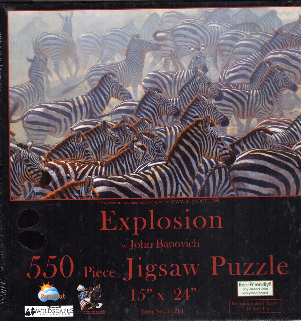 Explosion 550 Piece Puzzle