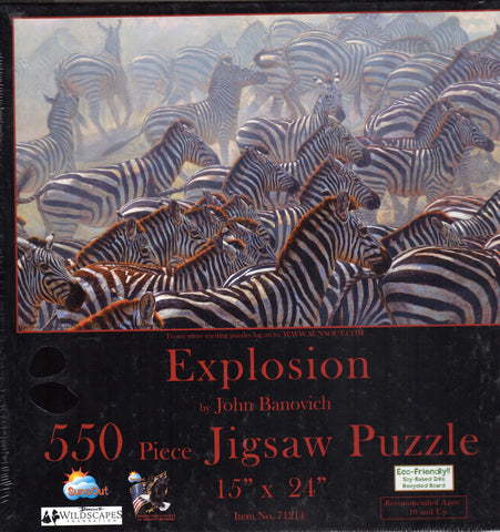 Explosion 550 Piece Puzzle