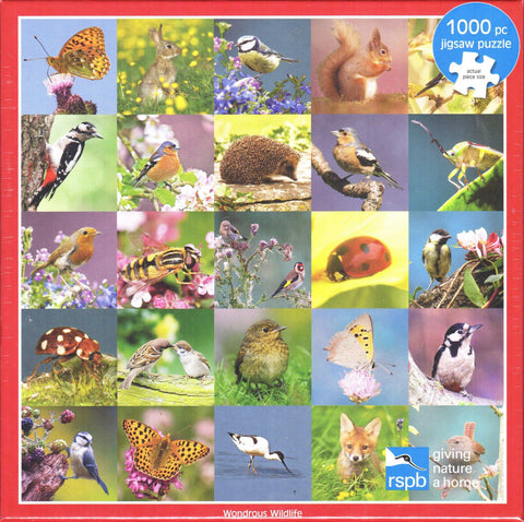 Otter House 1000 Piece Puzzle - Wondrous Wildlife