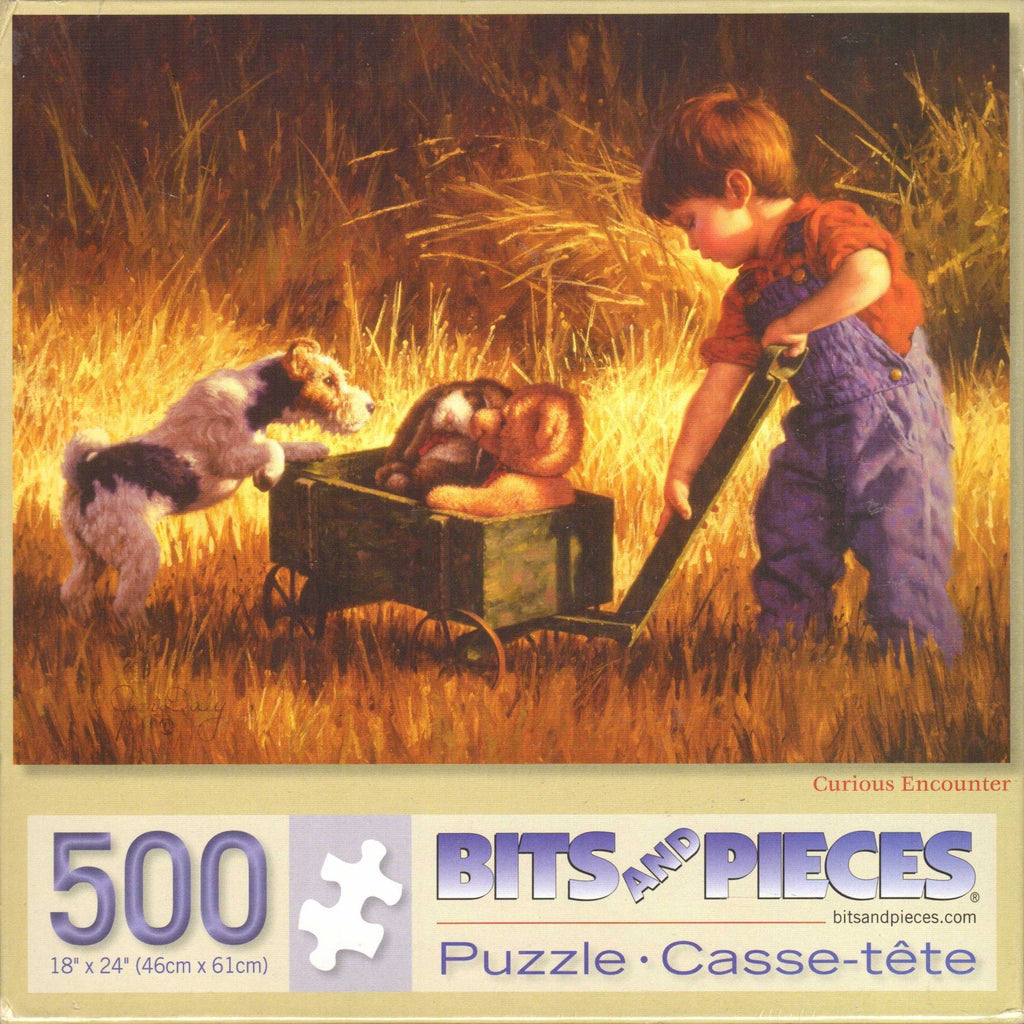 Curious Encounter 500 Piece Puzzle