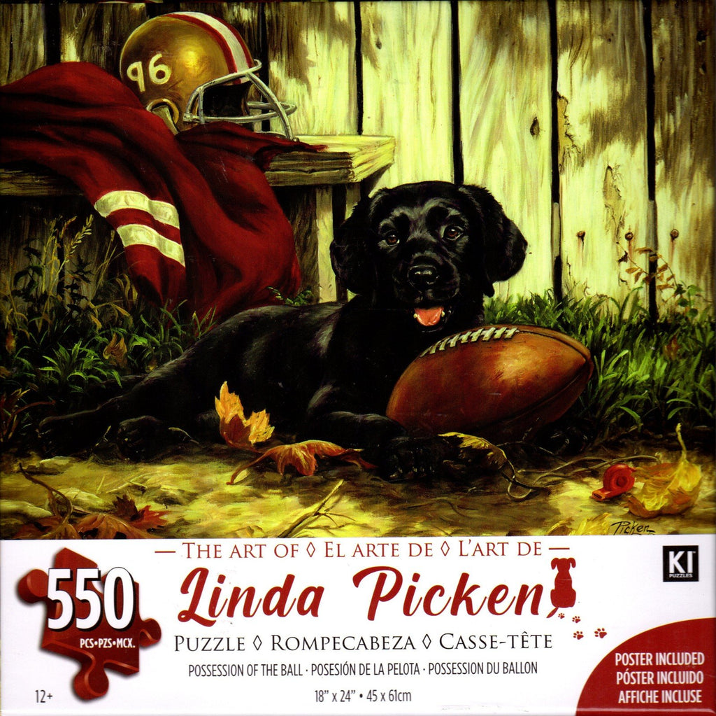Possession of the Ball 550 Piece Puzzle