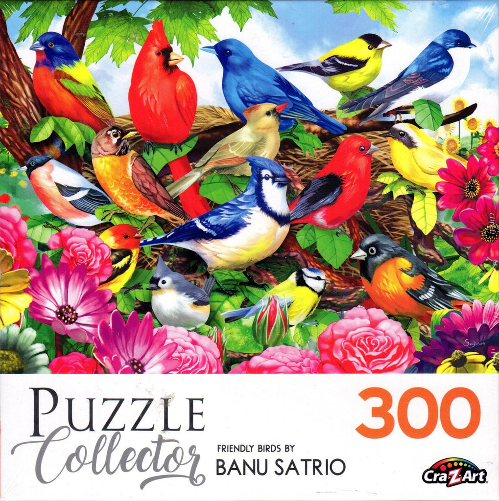 Puzzle Collector 300 Piece Puzzle - Friendly Birds by Banu Satrio