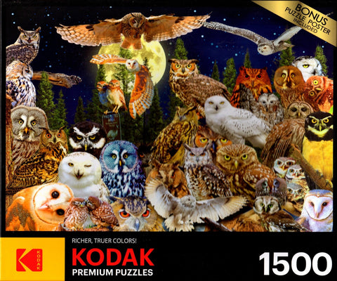 Kodak - Night Owls 1500 Piece Puzzle By Enigma Images