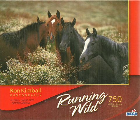 Pleasant Company 750 Piece Puzzle